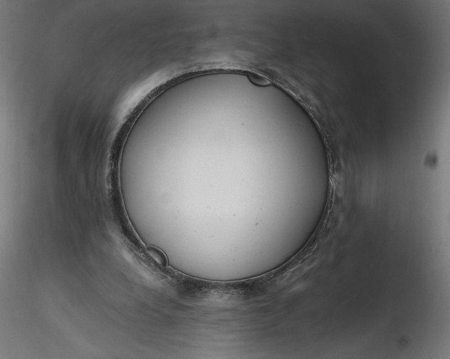 X0000116640248200912291601