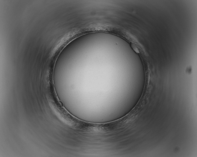 X0000116640250200912291601