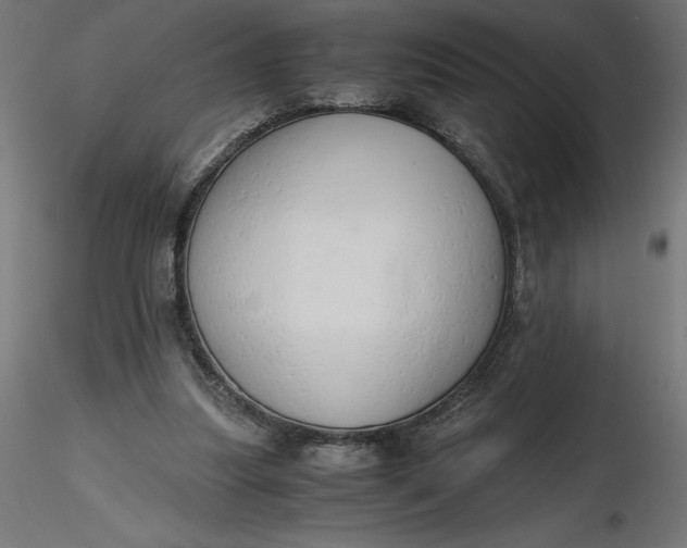 X0000116640251200912291601