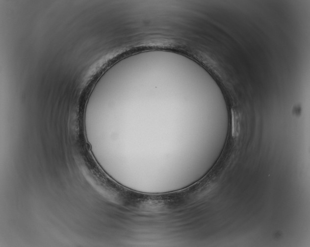 X0000116640252200912291601