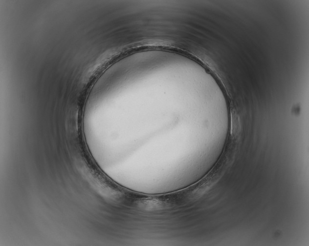 X0000116640253200912291601