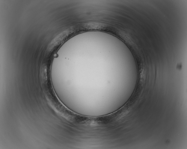 X0000116640254200912291601