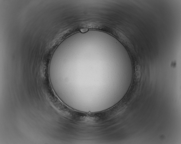 X0000116640255200912291601