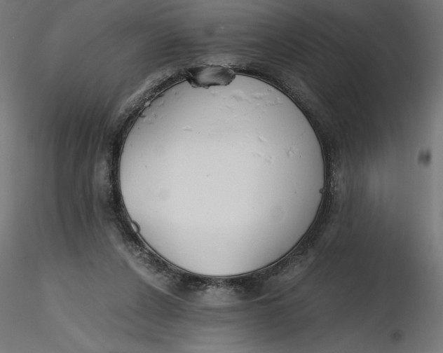 X0000116640256200912291601