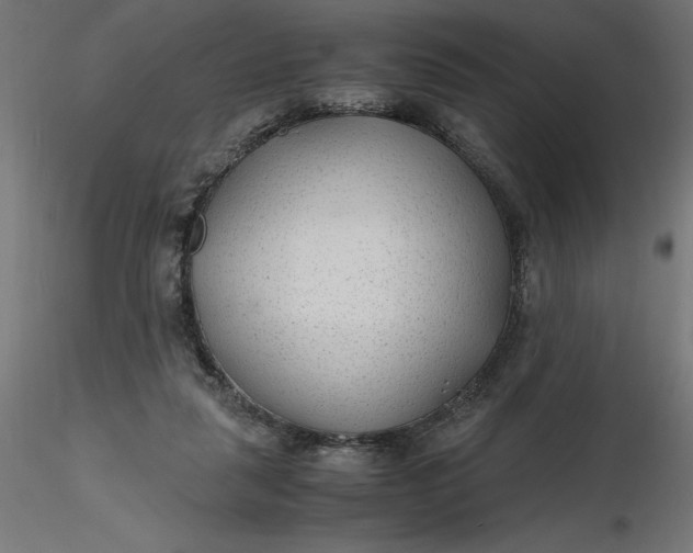 X0000116640259200912291601