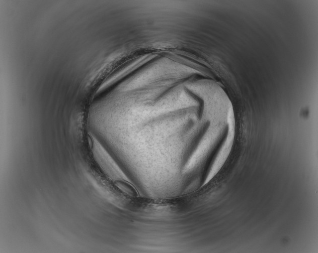 X0000116640260200912291601