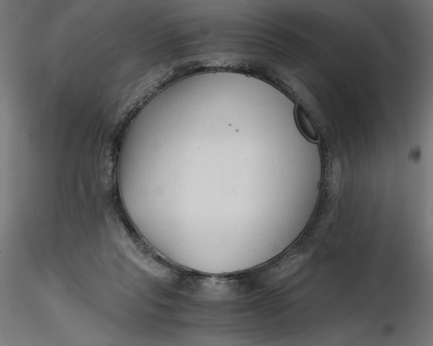 X0000116640261200912291601