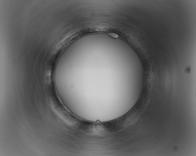 X0000116640262200912291601