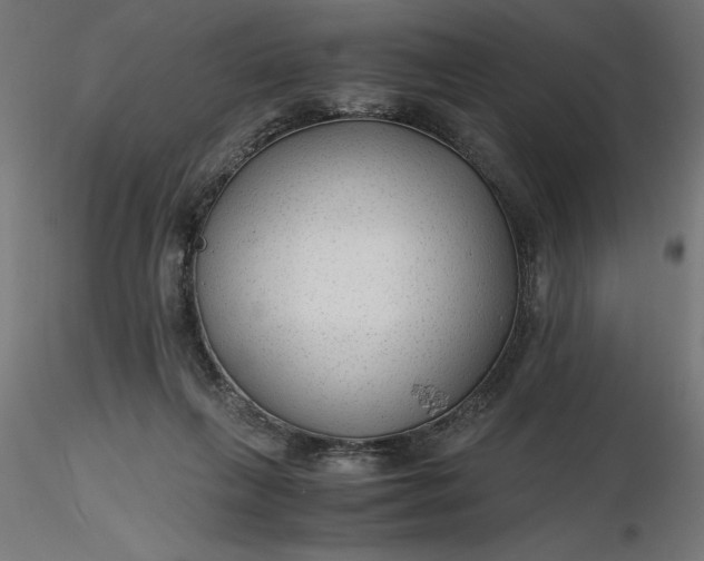 X0000116640263200912291601