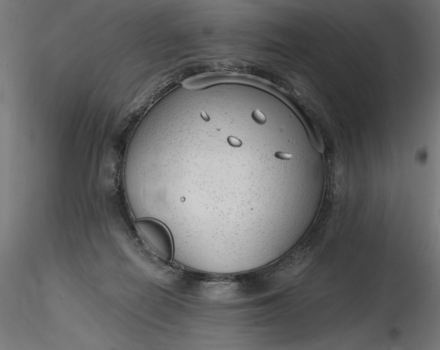 X0000116640266200912291601