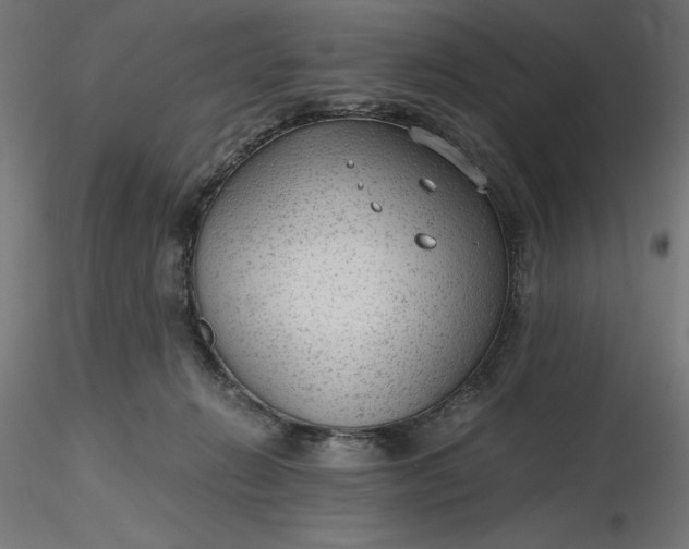 X0000116640270200912291601