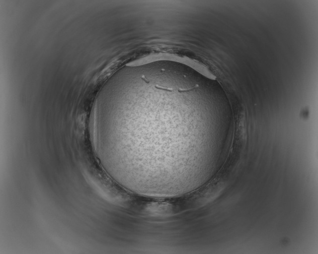 X0000116640271200912291601