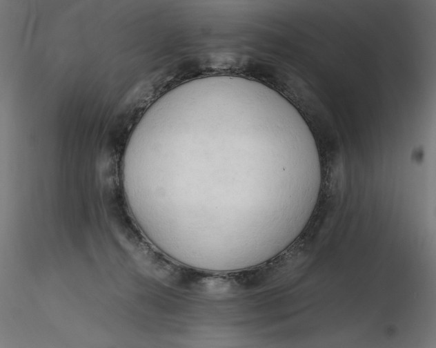 X0000116640272200912291601