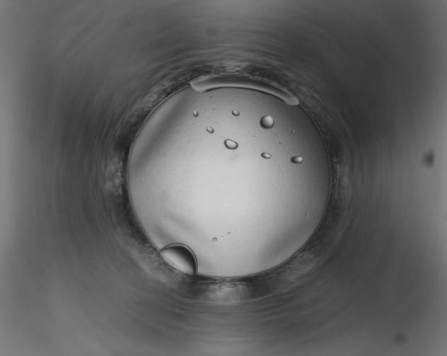 X0000116640274200912291601