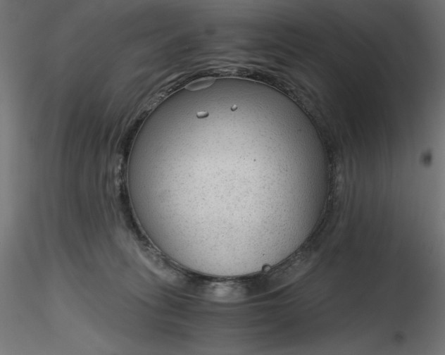 X0000116640275200912291601