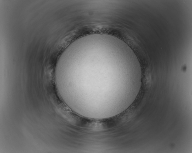 X0000116640276200912291601