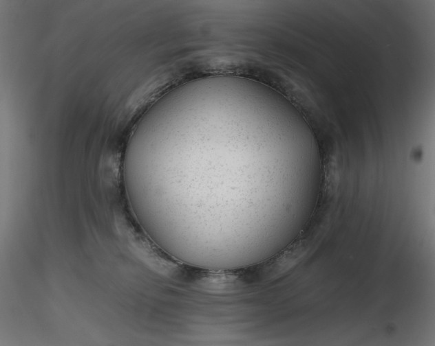 X0000116640278200912291601