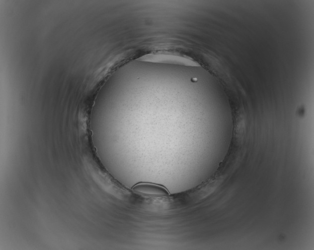 X0000116640282200912291601