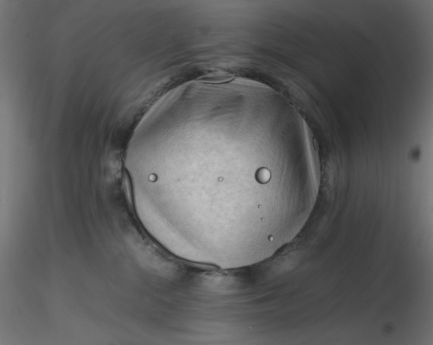 X0000116640284200912291602