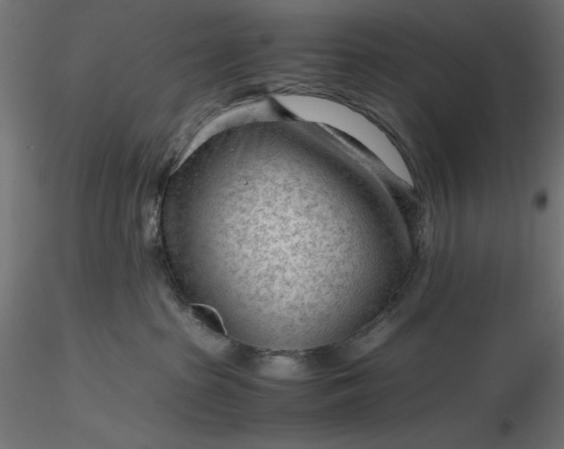 X0000116640285200912291602