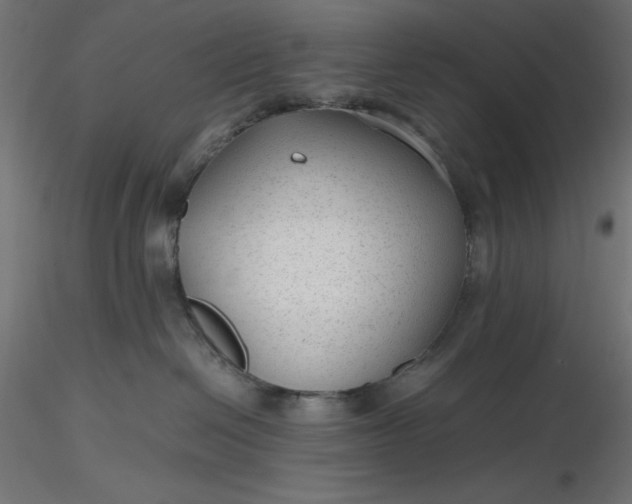 X0000116640286200912291602