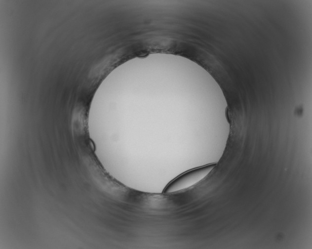 X0000116640287200912291602