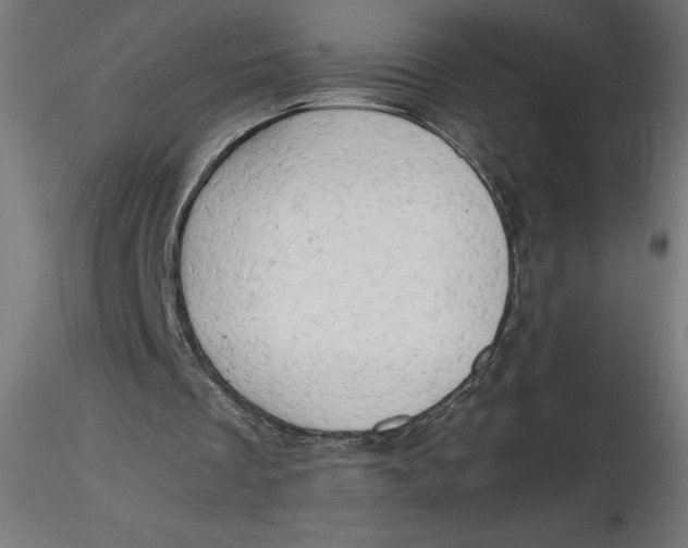 X0000116640289200912291601