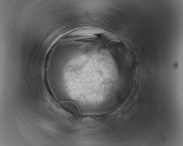 X0000116640290200912291601