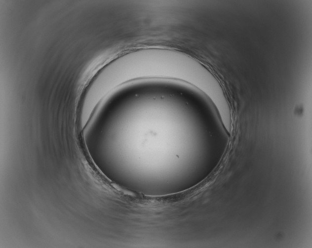 X0000116640293200912291601