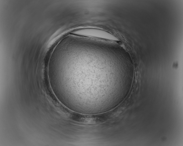 X0000116640295200912291601