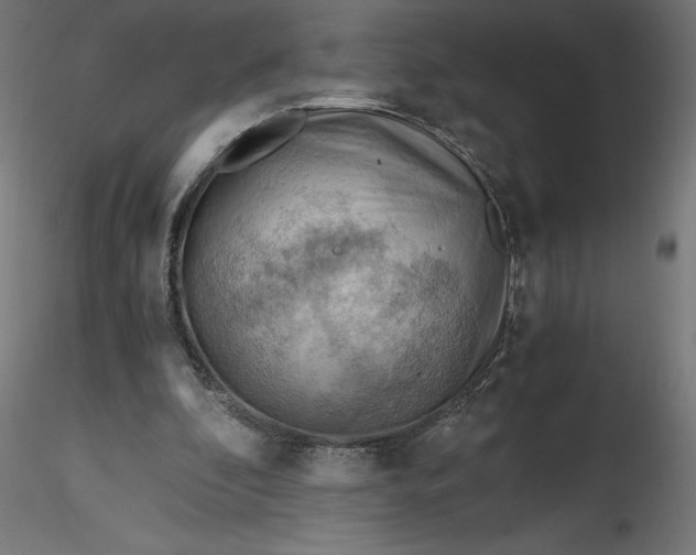 X0000116640296200912291601