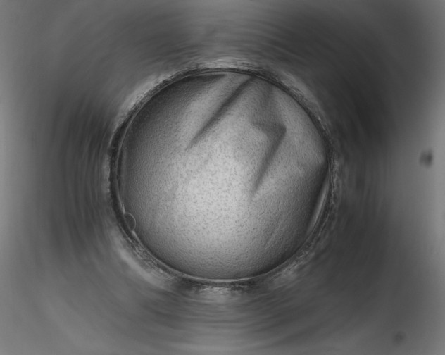 X0000116640298200912291601