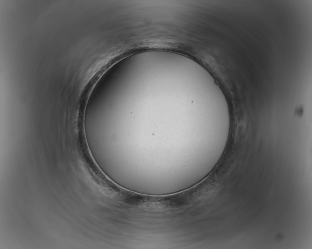 X0000116640299200912291601