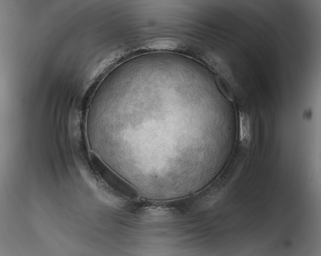 X0000116640300200912291601