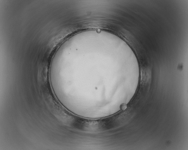 X0000116640301200912291601