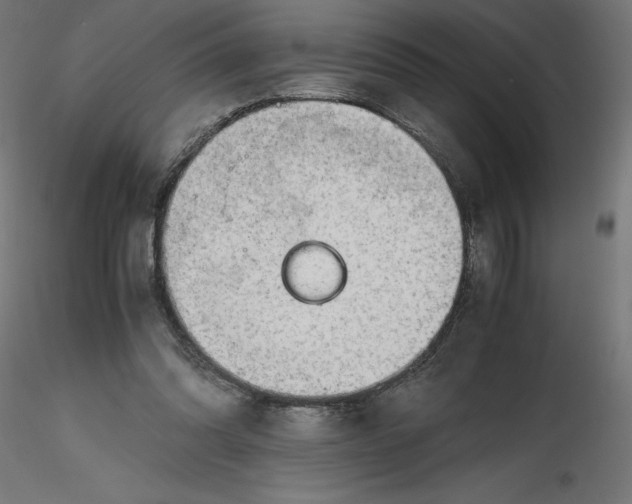 X0000116640302200912291601