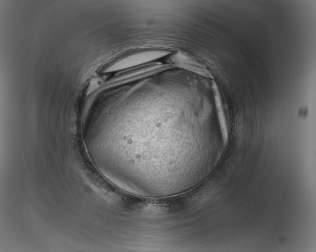 X0000116640303200912291601