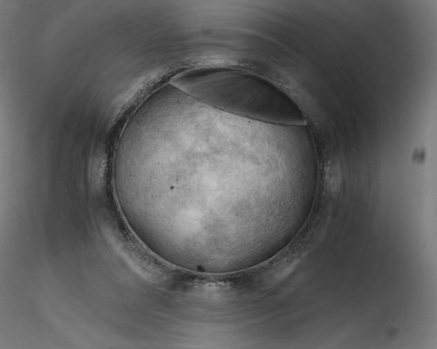 X0000116640304200912291601