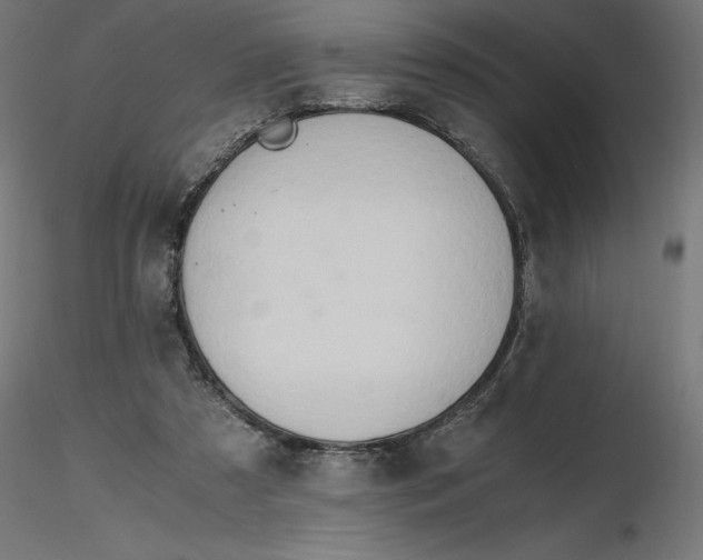 X0000116640305200912291601