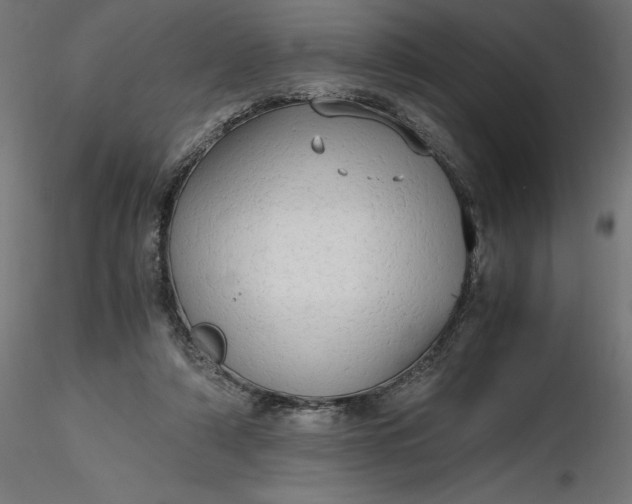 X0000116640306200912291601