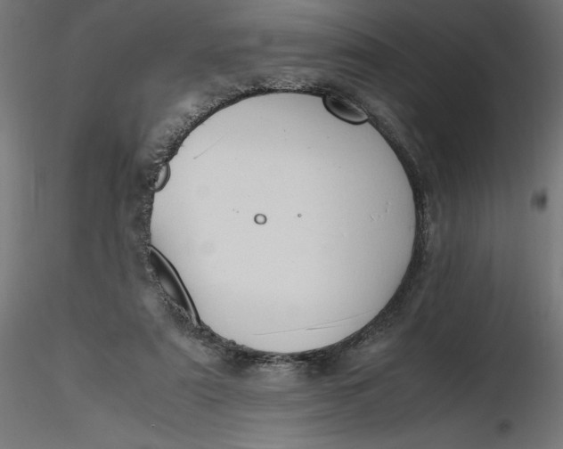 X0000116640307200912291601