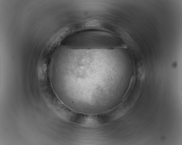 X0000116640308200912291601