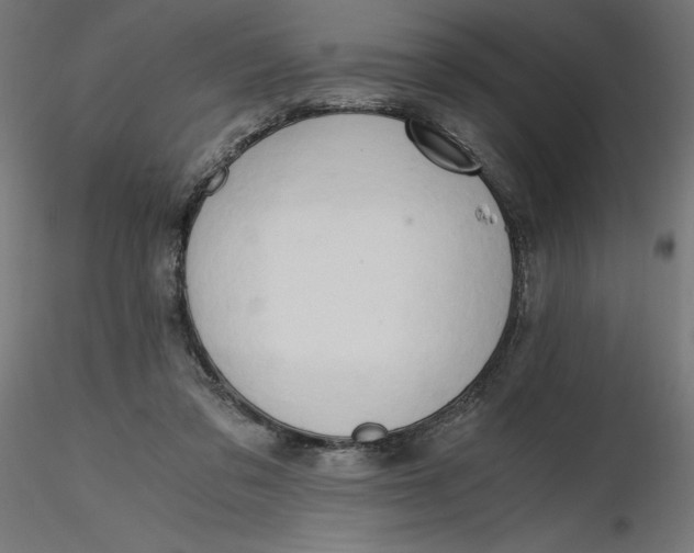 X0000116640309200912291601