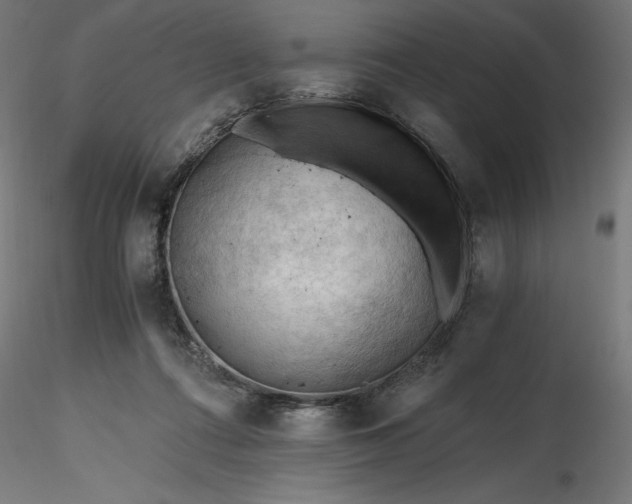 X0000116640312200912291601