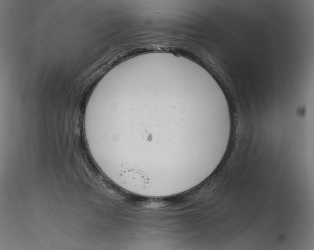 X0000116640313200912291601