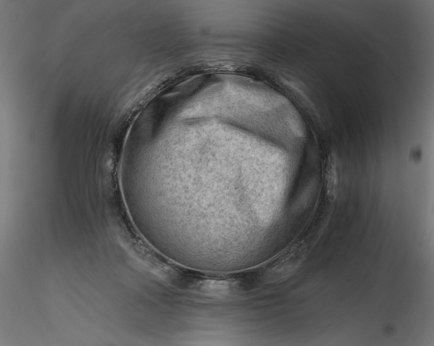 X0000116640314200912291601