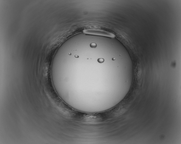 X0000116640315200912291601