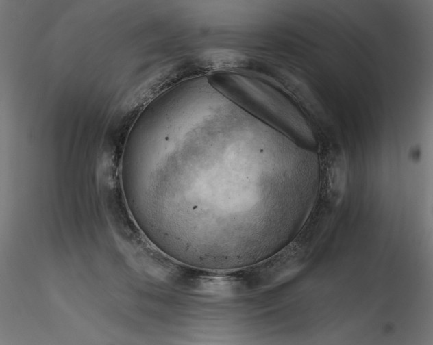 X0000116640316200912291601