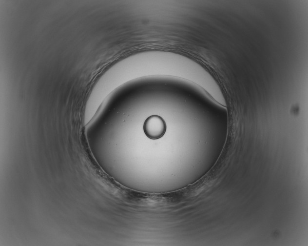 X0000116640317200912291601