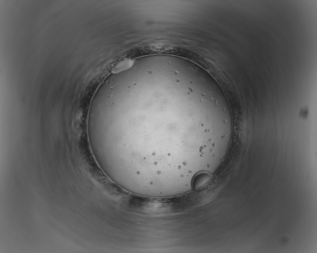 X0000116640319200912291601